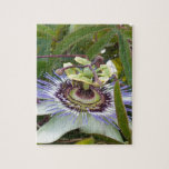 Passiflora Puzzle