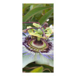 Passiflora Rack Card Design