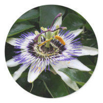 Passiflora Round Stickers