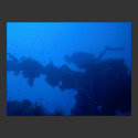 Passing Diver posters