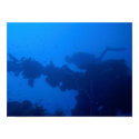 Passing Diver posters