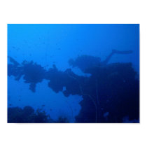 Passing Diver posters