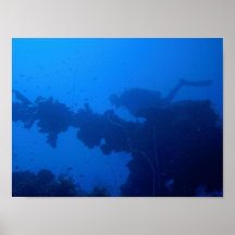Passing Diver Print