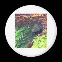 passingpeacock.gif magnets