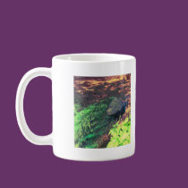 passingpeacock.gif mugs