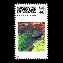 passingpeacock.gif postage