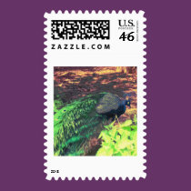 passingpeacock.gif postage