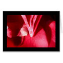 passion Card