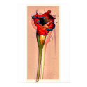 Passion Flower #1 posters by apresimage Passion Flower #1 posters