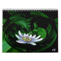 Passion Flower 4, CE calendars