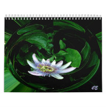 Passion Flower 4, CE calendars