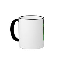 Passion Flower 4, CE mugs by Caroleann1947 Passion Flower 4, CE mugs