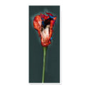 Passion Flower #5 posters by apresimage Passion Flower #5 posters