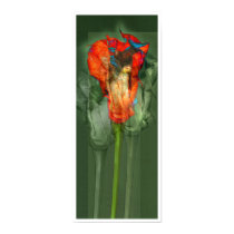 Passion Flower #6 posters by apresimage Passion Flower #6 posters