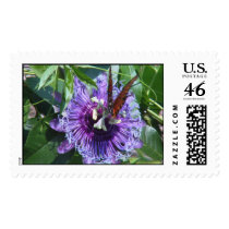 Passion Flower and Butterfly postage by cherylarogers Passion Flower and Butterfly postage