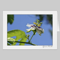 Passion Flower and the Sky cards