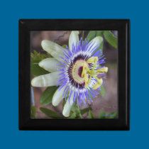 Passion Flower Gift Box gift boxes