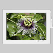 Passion Flower cards