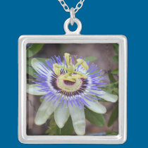 Passion Flower Necklace necklaces