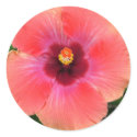 Passion Flower Pink Stickers by Squidwoman Passion Flower Pink Stickers