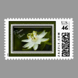 Passion Flower Postage postage