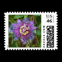 Passion Flower postage