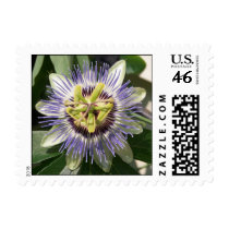 Passion Flower postage by closphotos Passion Flower postage