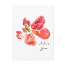 Passion Flower postcards