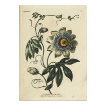 Passion flower posters
