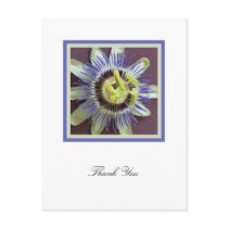 Passion Flower Sympathy Thank You Postcard