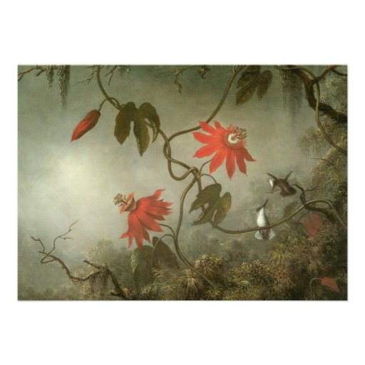 Passion Flowers and Hummingbirds by Martin J Heade Invitations