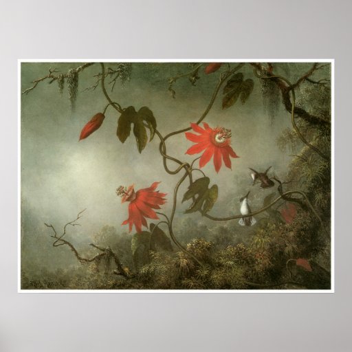 Passion Flowers and Hummingbirds Poster Zazzle