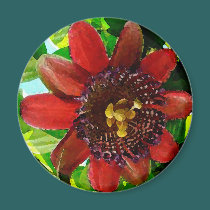 Passion Fruit  Watercolor - Magnet