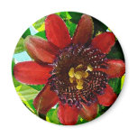 Passion Fruit  Watercolor - Magnet