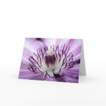 Passion,  Miy Spring Greeting Card by MaddyLane