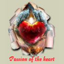 Passion of the heart t-shirts