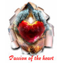 Passion of the heart t-shirts