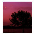 Passion Tree posters