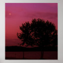 Passion Tree posters