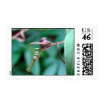 Passion Vine Intertwining Postage