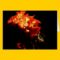 Passionate Petals cards