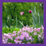Passionate Purple Tulips Poster posters
