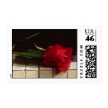 Passionate Red Rose stamps