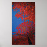 Passionate Trees With Moonlight Print