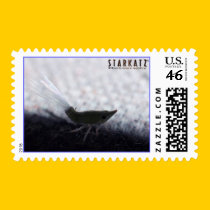 Passionvine Nymph - Extreme Macro Postage postage