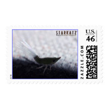 Passionvine Nymph - Extreme Macro Postage