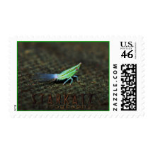 Passionvine Nymph - Macro Image Postage