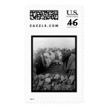 Passover Feast Palestine 1888 Postage Stamp