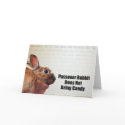 Passover Rabbit Does Not Bring Candy cards