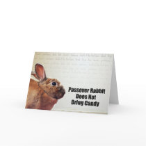 Passover Rabbit Does Not Bring Candy cards